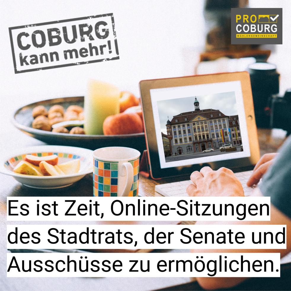 Online-Meetings des Stadtrats, der Senate und Ausschüsse